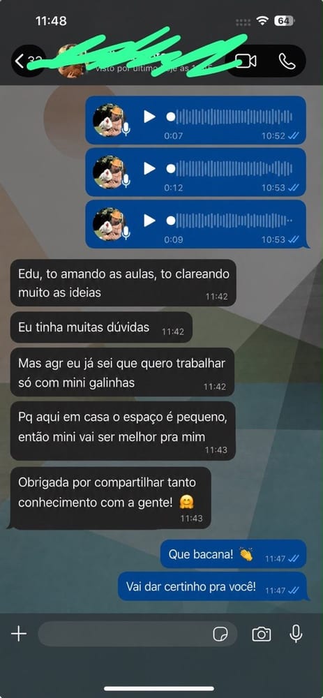 Mensagem de aluno no WhatsApp
