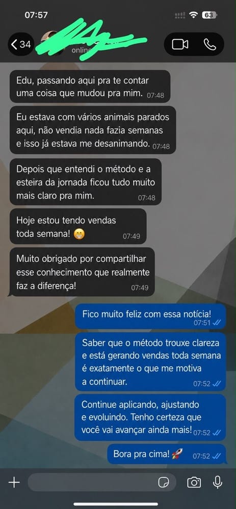 Mensagem de aluno no WhatsApp